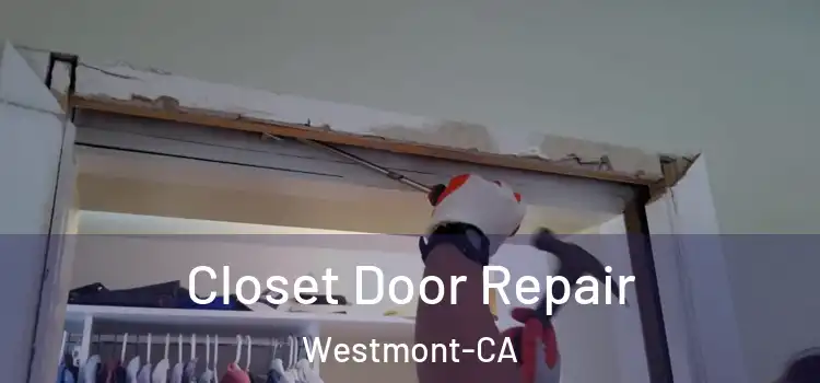  Closet Door Repair Westmont-CA