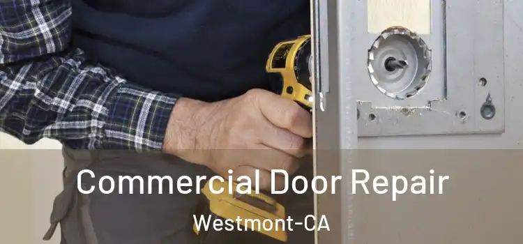  Commercial Door Repair Westmont-CA