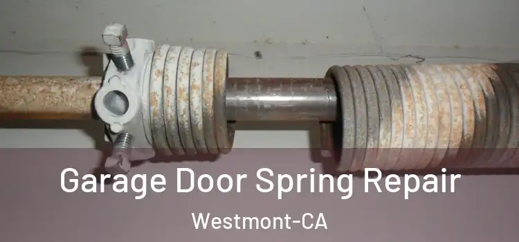 Garage Door Spring Repair Westmont-CA