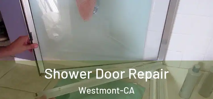 Shower Door Repair Westmont-CA